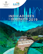 Caratula Indicadores 2019