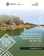 INDICADORES 2021 TOMO II